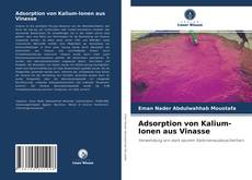Adsorption von Kalium-Ionen aus Vinasse kitap kapağı