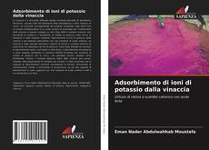 Copertina di Adsorbimento di ioni di potassio dalla vinaccia