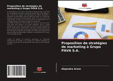 Proposition de stratégies de marketing à Grupo PAVA S.A.的封面