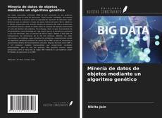 Bookcover of Minería de datos de objetos mediante un algoritmo genético