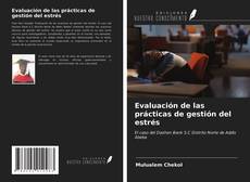 Copertina di Evaluación de las prácticas de gestión del estrés