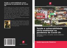 Bookcover of Saúde e vulnerabilidade sócio-ambiental na pandemia de Covid-19: