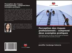 Perception des risques professionnels : comprend deux exemples pratiques的封面