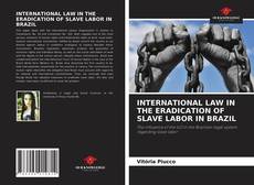 INTERNATIONAL LAW IN THE ERADICATION OF SLAVE LABOR IN BRAZIL的封面