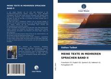 MEINE TEXTE IN MEHREREN SPRACHEN BAND II kitap kapağı