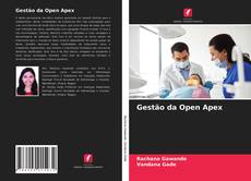 Gestão da Open Apex的封面