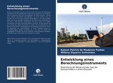 Entwicklung eines Berechnungsinstruments kitap kapağı