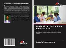 Studio di fattibilità di un business plan的封面