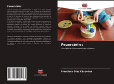 Couverture de Feuerstein :