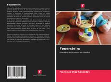 Feuerstein:的封面