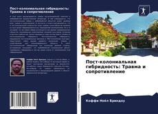 Couverture de Пост-колониальная гибридность: Травма и сопротивление