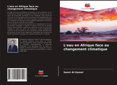 Couverture de L'eau en Afrique face au changement climatique