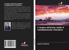 L'acqua africana sotto il cambiamento climatico的封面