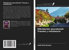 Copertina di Hibridación poscolonial: Trauma y resistencia