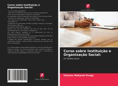 Bookcover of Curso sobre Instituição e Organização Social: