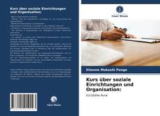 Kurs über soziale Einrichtungen und Organisation: kitap kapağı