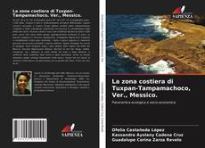 La zona costiera di Tuxpan-Tampamachoco, Ver., Messico.的封面