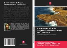 A zona costeira de Tuxpan-Tampamachoco, Ver., México.的封面
