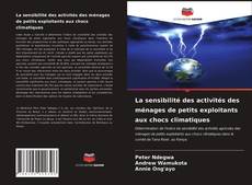 Couverture de La sensibilité des activités des ménages de petits exploitants aux chocs climatiques