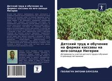 Copertina di Детский труд и обучение на фермах кассавы на юго-западе Нигерии