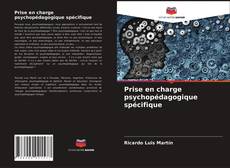 Prise en charge psychopédagogique spécifique kitap kapağı