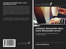 Обложка ¿Colegas demasiado lejos, cama demasiado cerca?