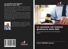 La cauzione nel sistema giudiziario della RDC的封面