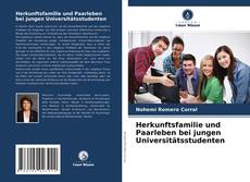 Herkunftsfamilie und Paarleben bei jungen Universitätsstudenten kitap kapağı