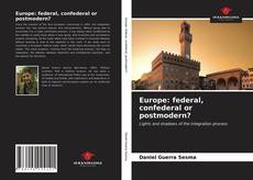 Europe: federal, confederal or postmodern?的封面