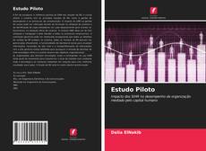 Estudo Piloto的封面