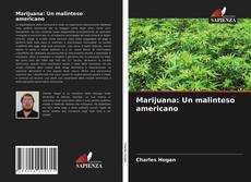 Marijuana: Un malinteso americano的封面