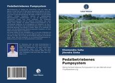 Copertina di Pedalbetriebenes Pumpsystem