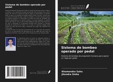 Borítókép a  Sistema de bombeo operado por pedal - hoz