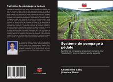 Couverture de Système de pompage à pédale