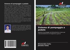 Sistema di pompaggio a pedale的封面