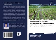 Bookcover of Насосная система с педальным управлением