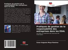 Couverture de Pratiques de gestion de la responsabilité des entreprises dans les ESAL