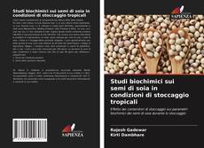 Copertina di Studi biochimici sui semi di soia in condizioni di stoccaggio tropicali