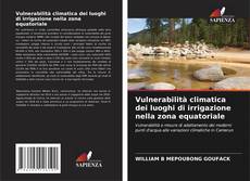 Bookcover of Vulnerabilità climatica dei luoghi di irrigazione nella zona equatoriale