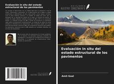 Bookcover of Evaluación in situ del estado estructural de los pavimentos