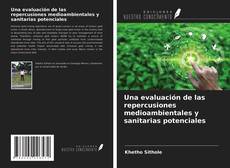 Una evaluación de las repercusiones medioambientales y sanitarias potenciales的封面
