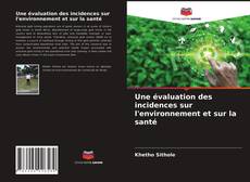 Buchcover von Une évaluation des incidences sur l'environnement et sur la santé