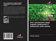 Capa do livro de Una valutazione degli impatti ambientali e potenziali sulla salute 