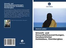 Buchcover von Umwelt- und Gesundheitsauswirkungen, handwerklicher Goldabbau, Kleinbergbau