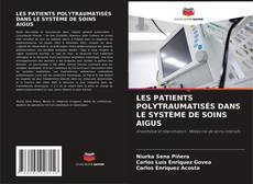 Couverture de LES PATIENTS POLYTRAUMATISÉS DANS LE SYSTÈME DE SOINS AIGUS