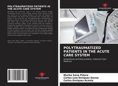 POLYTRAUMATIZED PATIENTS IN THE ACUTE CARE SYSTEM的封面