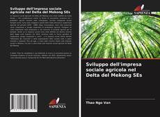 Copertina di Sviluppo dell'impresa sociale agricola nel Delta del Mekong SEs