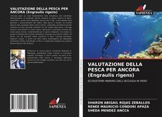 VALUTAZIONE DELLA PESCA PER ANCORA (Engraulis rigens)的封面