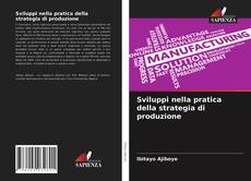 Sviluppi nella pratica della strategia di produzione的封面