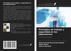 Buchcover von Principios de trabajo y seguridad en los laboratorios